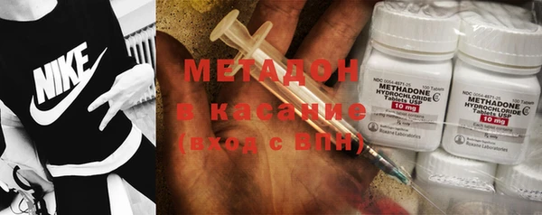 ГАЛЛЮЦИНОГЕННЫЕ ГРИБЫ Дмитриев