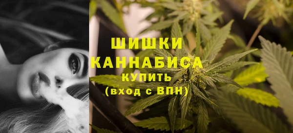 МДПВ Дмитров