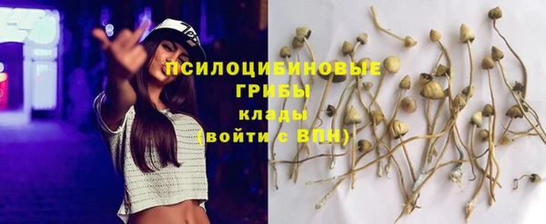 МДПВ Дмитров