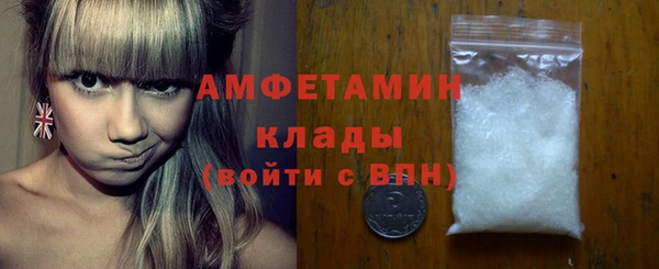 ГАЛЛЮЦИНОГЕННЫЕ ГРИБЫ Дмитриев