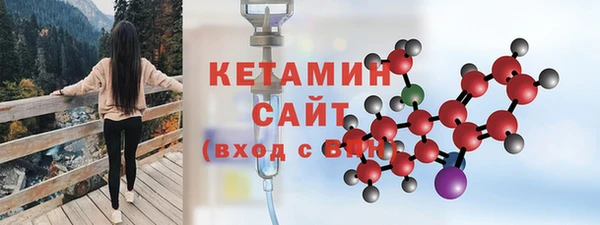 ГАЛЛЮЦИНОГЕННЫЕ ГРИБЫ Дмитриев