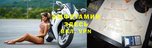 ГАЛЛЮЦИНОГЕННЫЕ ГРИБЫ Дмитриев