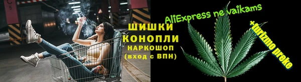 ГАЛЛЮЦИНОГЕННЫЕ ГРИБЫ Дмитриев