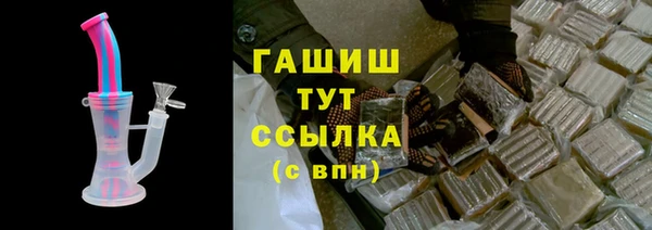 ГАЛЛЮЦИНОГЕННЫЕ ГРИБЫ Дмитриев