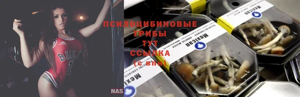 стаф Гусев