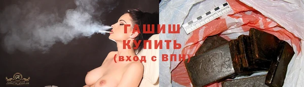 ГАЛЛЮЦИНОГЕННЫЕ ГРИБЫ Дмитриев