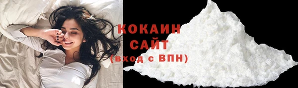 ГАЛЛЮЦИНОГЕННЫЕ ГРИБЫ Дмитриев