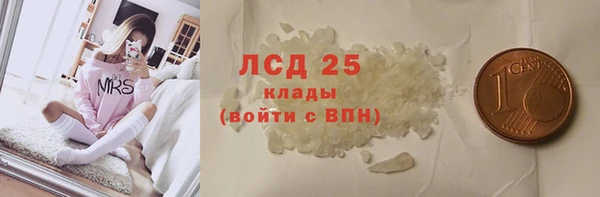 ГАЛЛЮЦИНОГЕННЫЕ ГРИБЫ Дмитриев