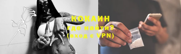 ГАЛЛЮЦИНОГЕННЫЕ ГРИБЫ Дмитриев