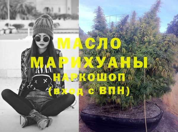 ГАЛЛЮЦИНОГЕННЫЕ ГРИБЫ Дмитриев