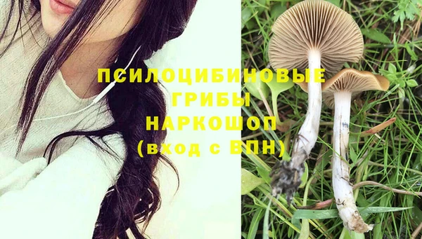 МДПВ Дмитров