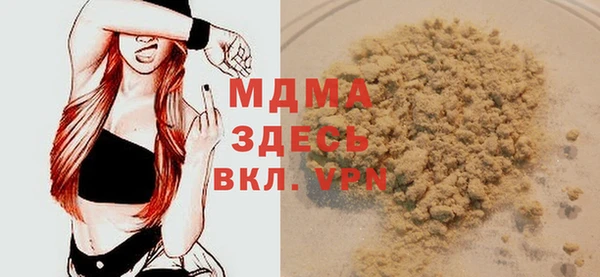 ГАЛЛЮЦИНОГЕННЫЕ ГРИБЫ Дмитриев