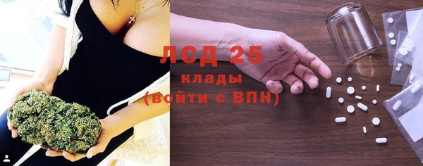 ГАЛЛЮЦИНОГЕННЫЕ ГРИБЫ Дмитриев