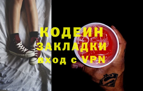 ГАЛЛЮЦИНОГЕННЫЕ ГРИБЫ Дмитриев