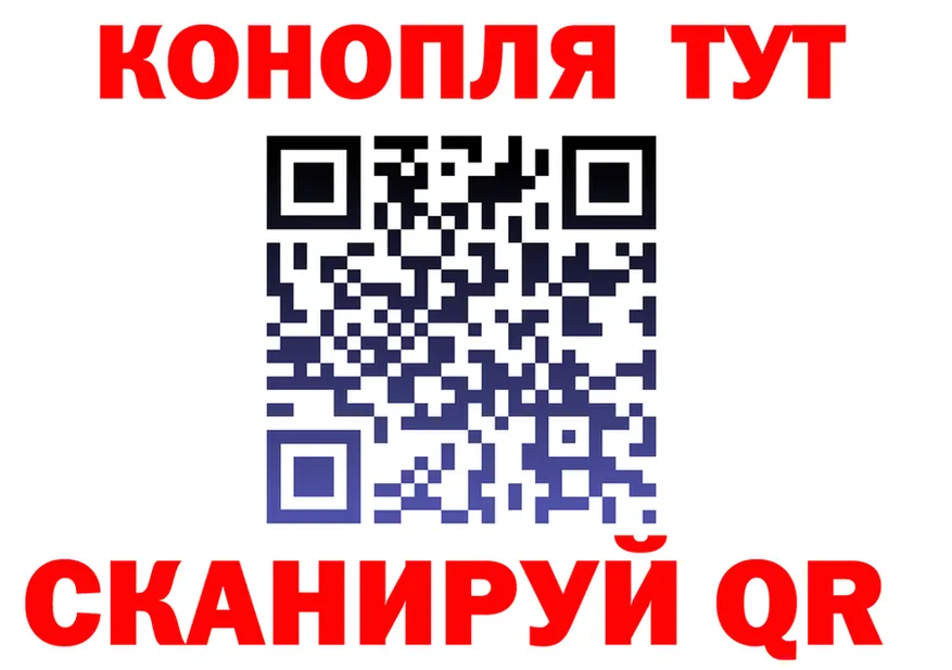 АМФ Premium вход это МЕГА Кольчугино